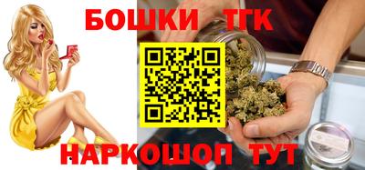 индика Усть-Илимск
