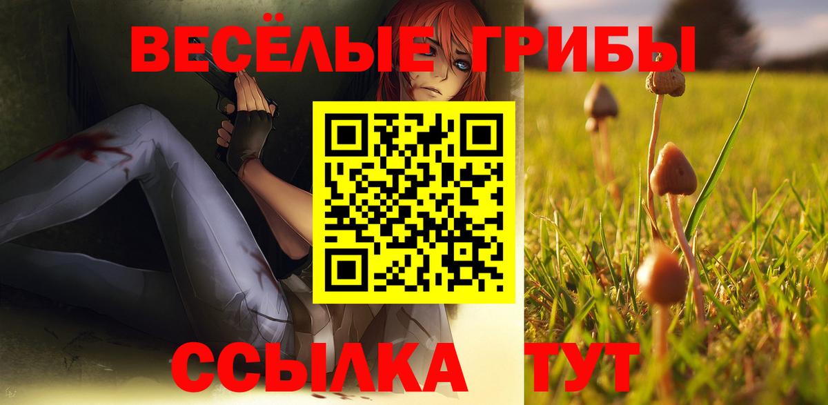 Псилоцибиновые грибы прущие грибы  Вход с VPN  Галлюциногенные грибы мухоморы  Братск 